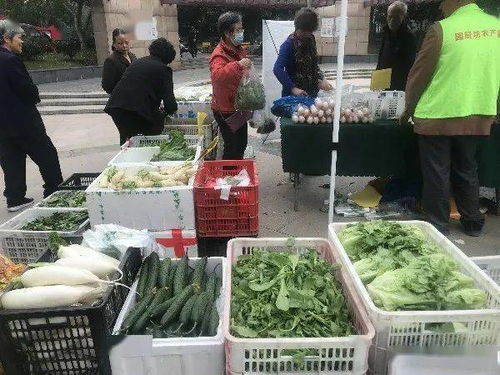 便捷與實惠并行 高品質農產品進社區，守護市民餐桌健康