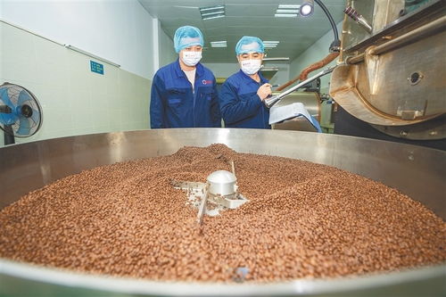 從田間到舌尖 海南農墾發力精深加工，讓土特產鏈上“新食尚”